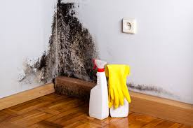 Best Forensic Mold Investigation  in Rancho Cordova, CA